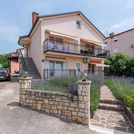 Apartment Masha Novigrad Istria Dış mekan fotoğraf