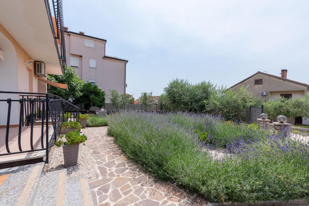 Apartment Masha Novigrad Istria Dış mekan fotoğraf